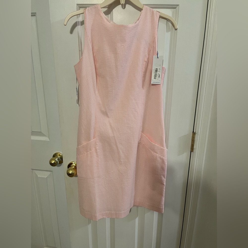 NWT Paisley Pink Seersucker Dress
